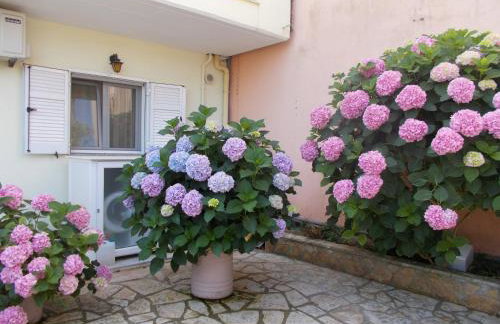 Pansion Filoxenia Apartments & Studios - Foto 6