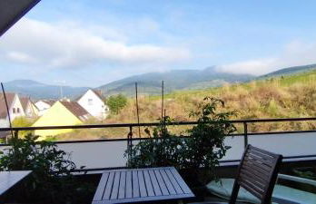 Au cœur du vignoble - Foto 1