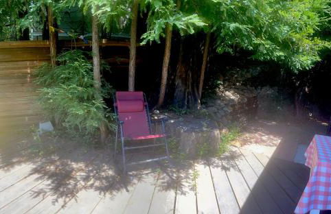 Your Lazy Bear Destination - You're Right In The Thick Of It! Book It Now, Reach Out With Questions! - Foto 16