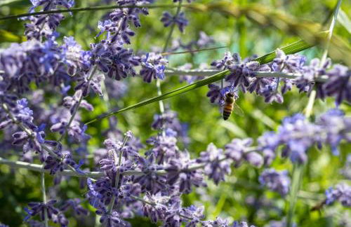 Agriturismo GaiaSofia - adults only - Foto 38