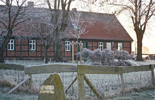 Pension up´n Dörp - Foto 26