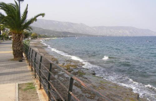 Oma's Haus- Το σπίτι της γιαγιάς - Foto 5
