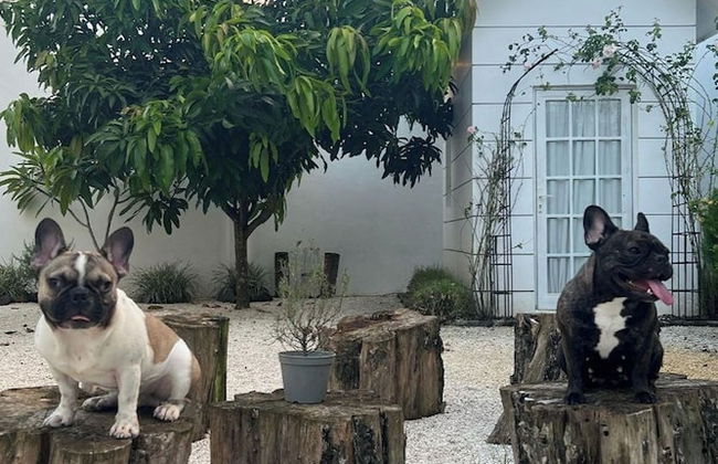 Floraison Living Villa - Foto 13