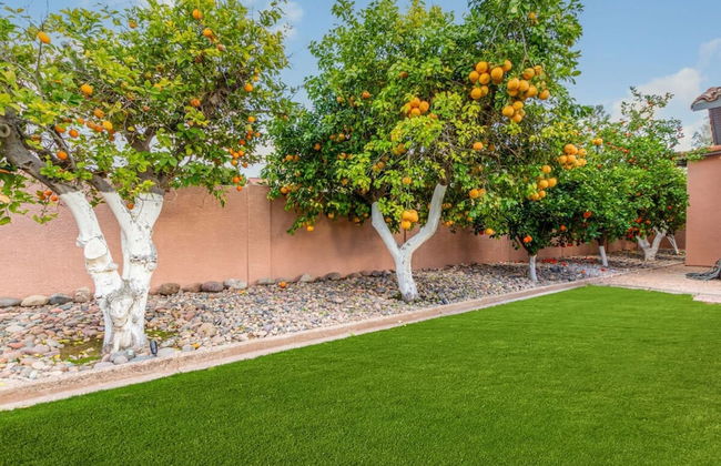 Historic Desert Rose Estate Pool Sauna Sleeps 12 - Foto 58