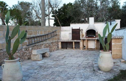 Vecchio Ulivo - Foto 15