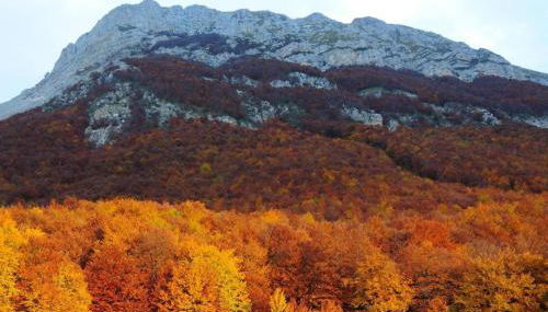 Dima Home Campo di Giove - Foto 5