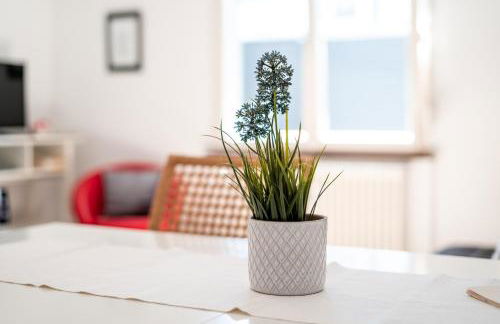 Black Forest Bike Hostel - Foto 32