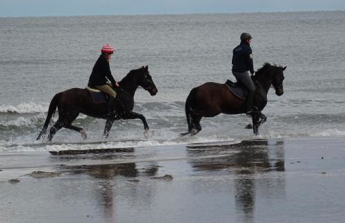 Boddenpieper - Foto 15