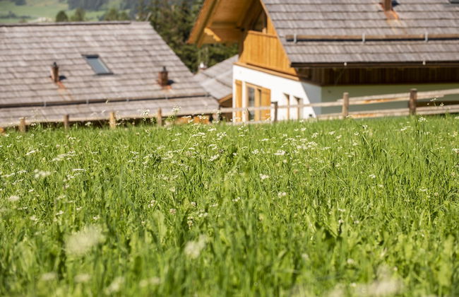 Lerchpeuntgut - Foto 54