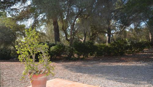 Finca Son Blat - Photo 5