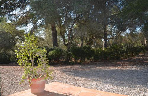 Finca Son Blat - Photo 5