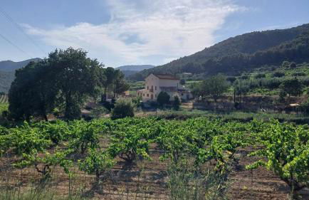 Casa Rural Cal Martí - Foto 30