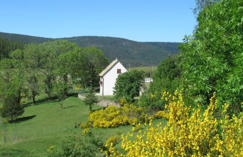 Lou camparol - Foto 1