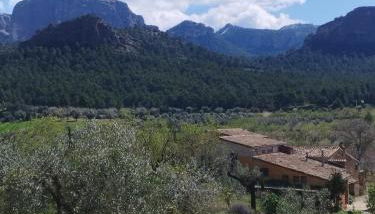 Mas de Manresa - Foto 1