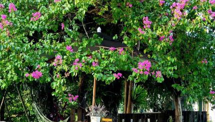 Casa da Vó Hospedagem Afetiva - Foto 3