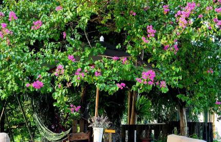 Casa da Vó Hospedagem Afetiva - Foto 4