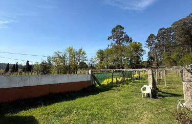 Finca Escusas Sanxenxo - Foto 31