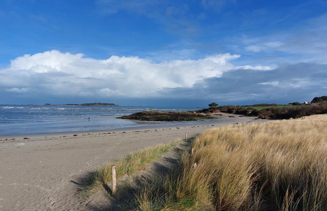 Bleu Marine - Foto 17