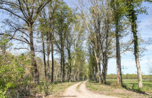 Gîtes les Muids - Les "Oiseaux" et la "Ferme" - Foto 61