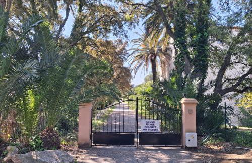 Joli appartement Les Parcs de Grimaud - Piscine - Foto 22