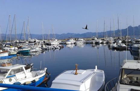 Il sughereto - Foto 15