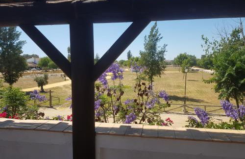 Lince Casa Rural - Foto 3