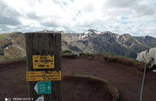 Chalet des fontaines claires - Foto 55