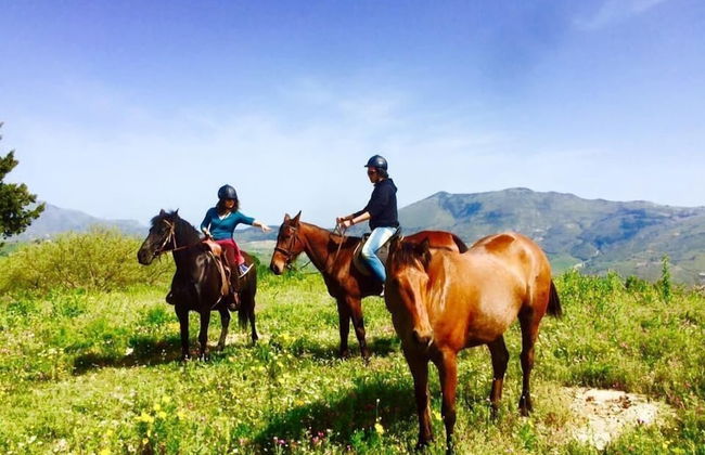 Agriturismo Tenute Pispisa Segesta - Foto 13