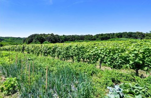 2 Bedroom Cozy Home In Gornja Ploscica - Foto 21