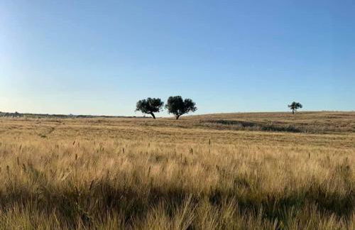 Maison Colline du Mer - Foto 17