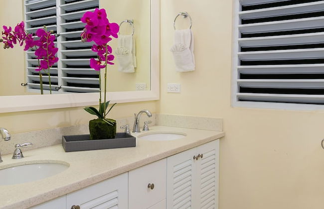 Avant Dream Escape - Foto 14