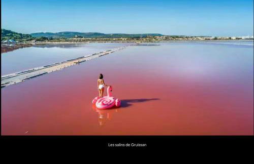 Joli gîte chic et cosy entre mer et Narbonne - Photo 22
