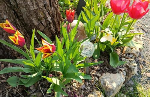 Gîte paisible 2 chambres près de Tours et Amboise - FR-1-381-628 - Foto 34