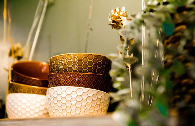 Waterlodge Sweltsje in Nes - Foto 12