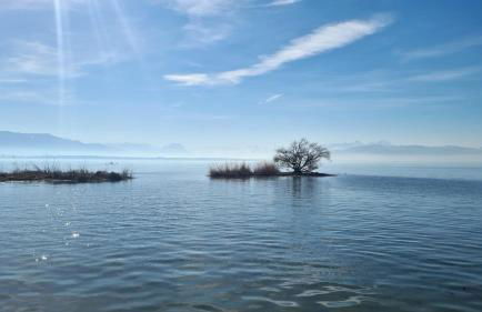 Blütenlodge Bodensee - Foto 48