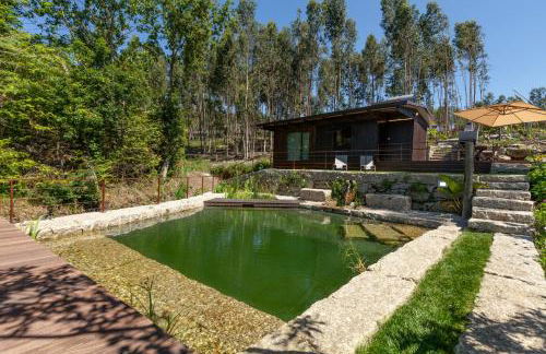 Casa do Monte da Veiga - Minho's Guest - Foto 24