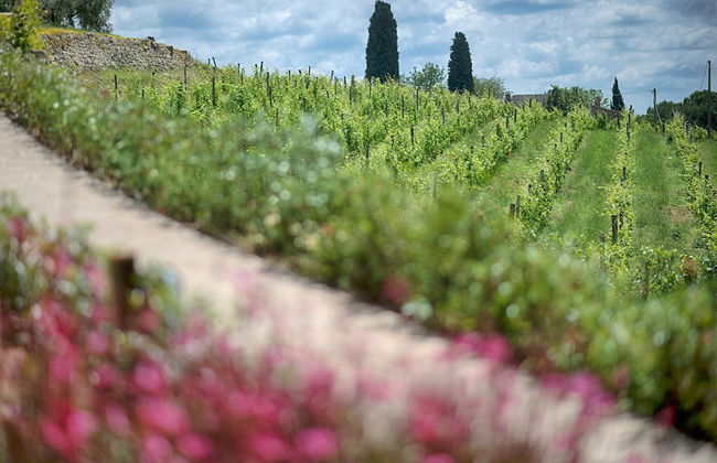 Luxury Chianti in La Farfalla - Foto 25