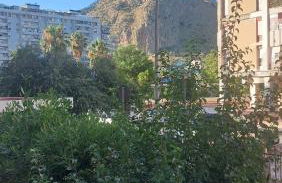 L'ulivo-casa tua a Palermo, a due passi dal centro - Foto 2