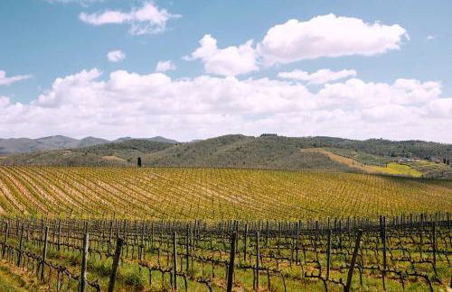 Agriturismo San Sano - Foto 65