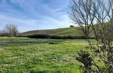 Whole apartment in Villa surrounded by green - Foto 59