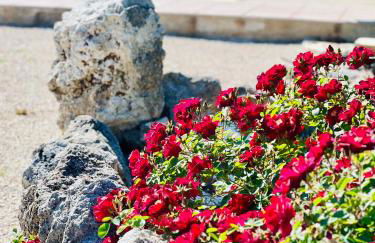 Le case di Lisetta Holiday homes - Photo 10