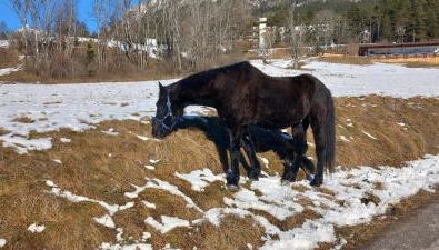Mansarda nelle Dolomiti - Foto 2