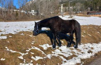 Mansarda nelle Dolomiti - Foto 2