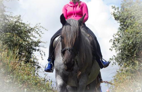 Meislahnhof Fehmarn - Foto 79