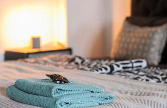 Hans & Franz Zimmervermietung - Foto 48