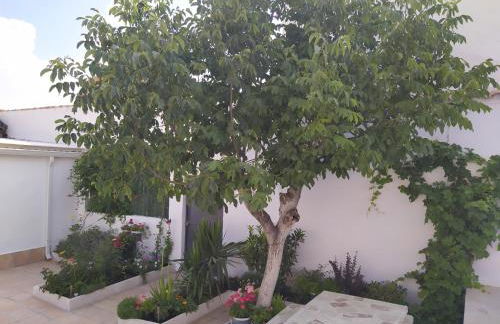 Casa Eufemia - Campo de Criptana - Foto 19