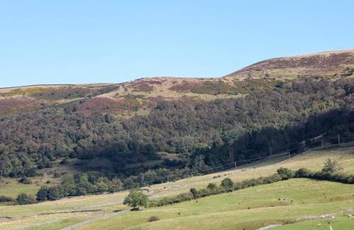 Knoll View - Foto 44