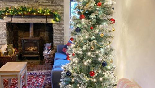 Llynhillyn Cottage - Foto 4