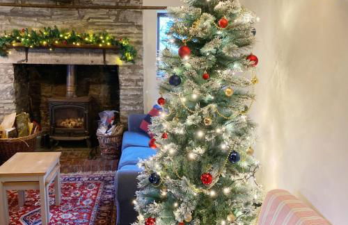 Llynhillyn Cottage - Foto 4