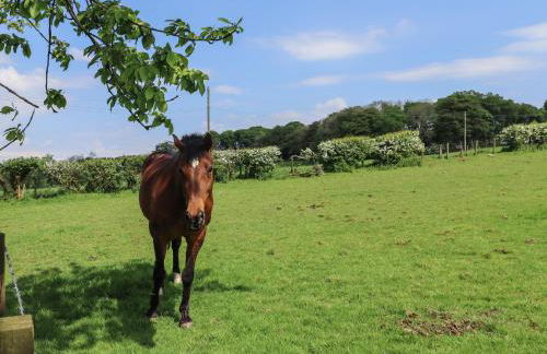 Cleugh Lodge - Foto 16